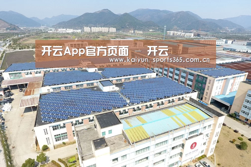 案例展示二