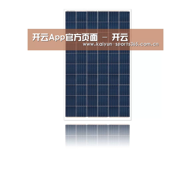 产品名称一