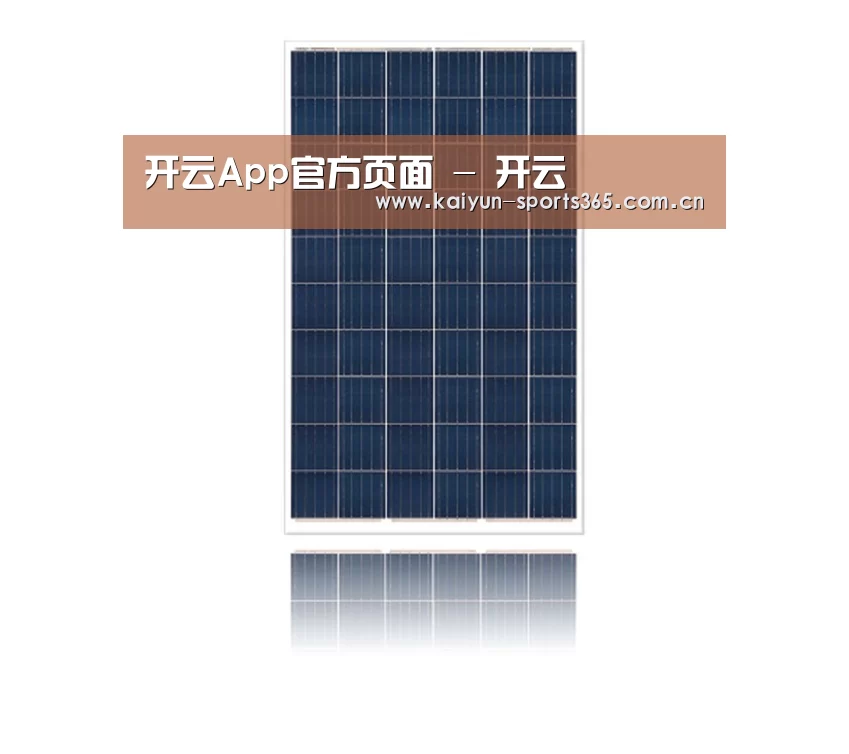 产品名称一