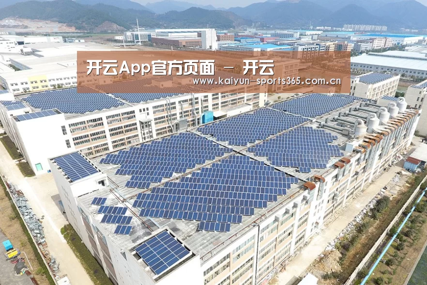 案例展示四