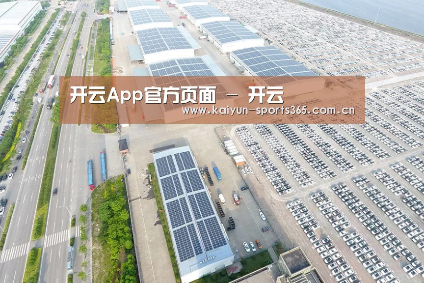 案例展示一