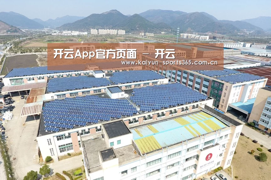 案例展示三