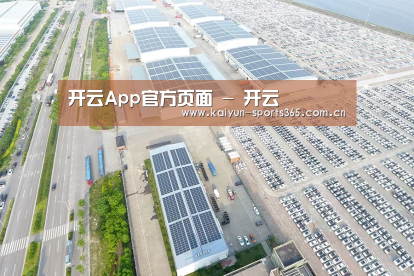 案例展示四