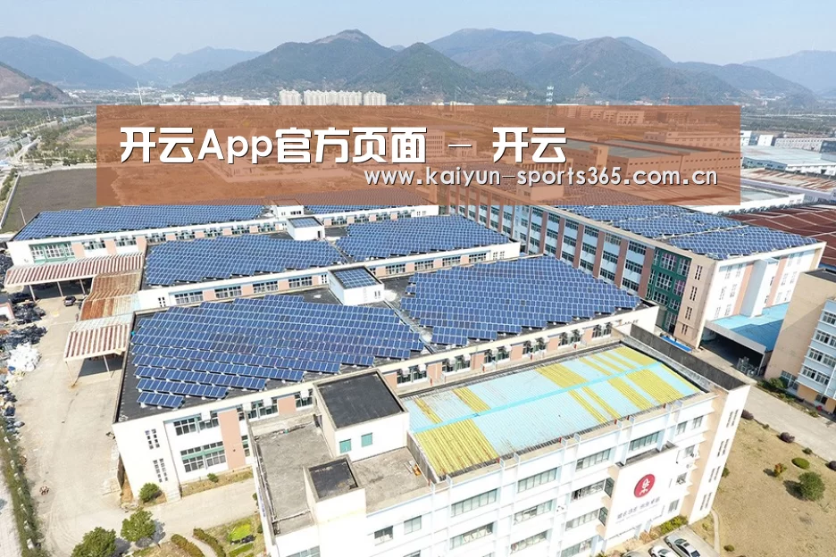 案例展示三