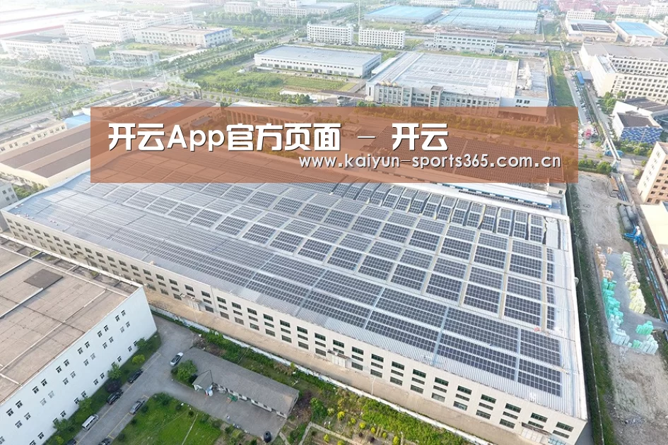 案例展示四