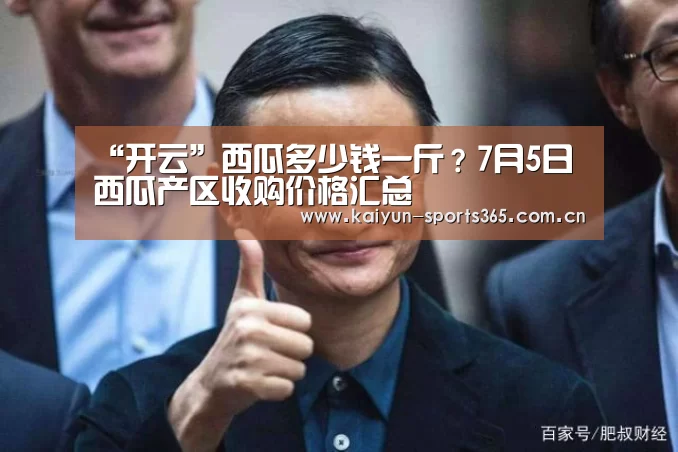 开云App下载